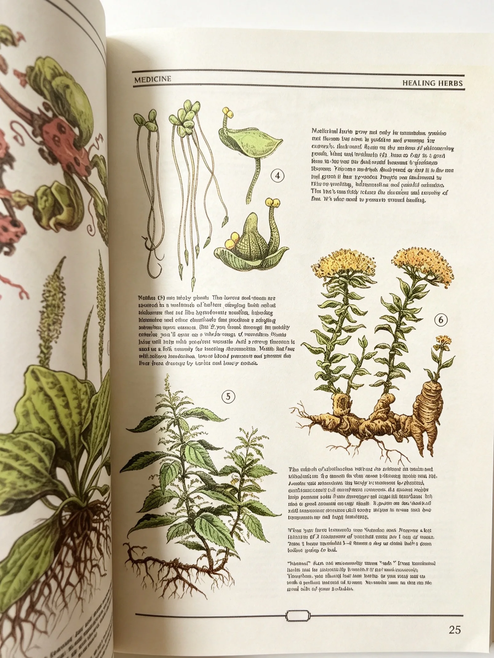 The Ultimate Guide to Rebuildi - đánh giá và giá Adult Coloring Book Stress Relief
